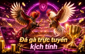 Giao diện sảnh Đá Gà MoveMartialArts